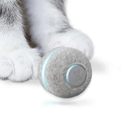 Balle Interactive Autonome pour Chats