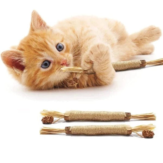Bâtons à mâcher pour chat | CatClean™