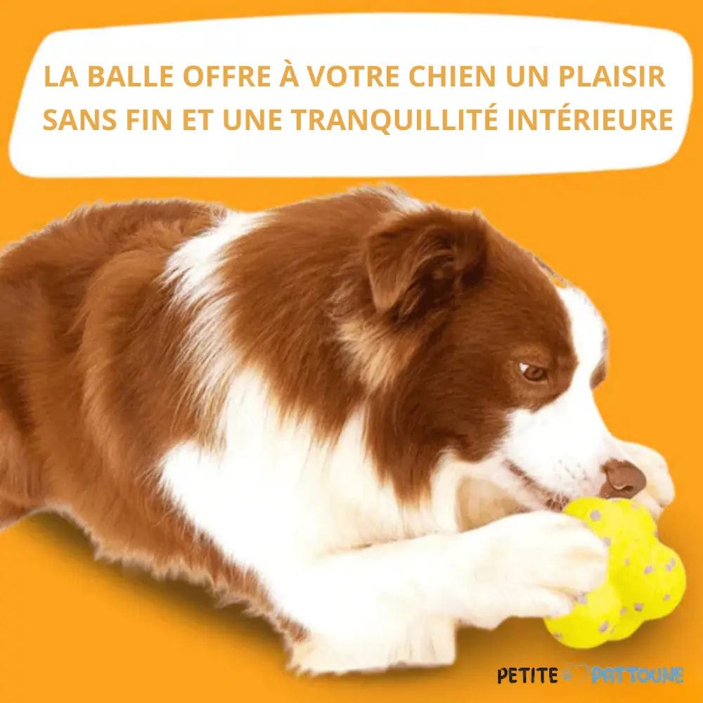 Balle à Mâcher Ultra Résistante pour Chiens