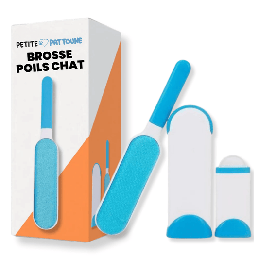 Brosse Poils Chat