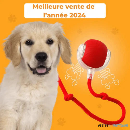 Balle Magique et Interactive pour Chien