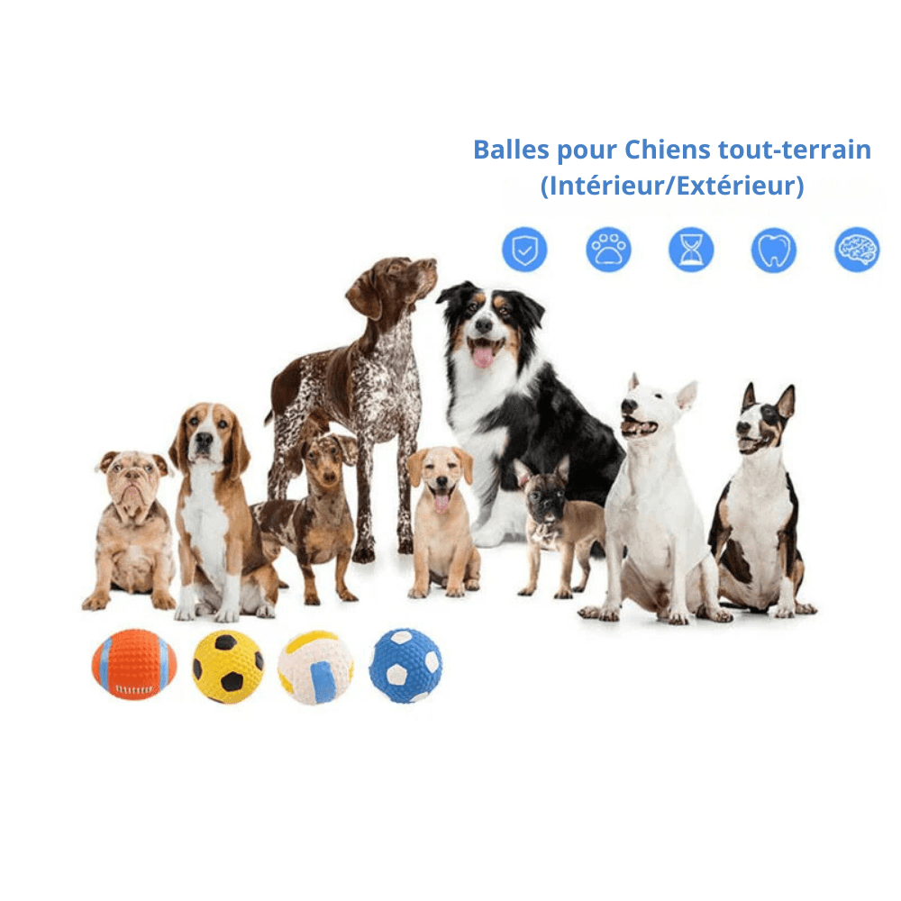 Balles Sifflantes Indestructibles pour Chiens