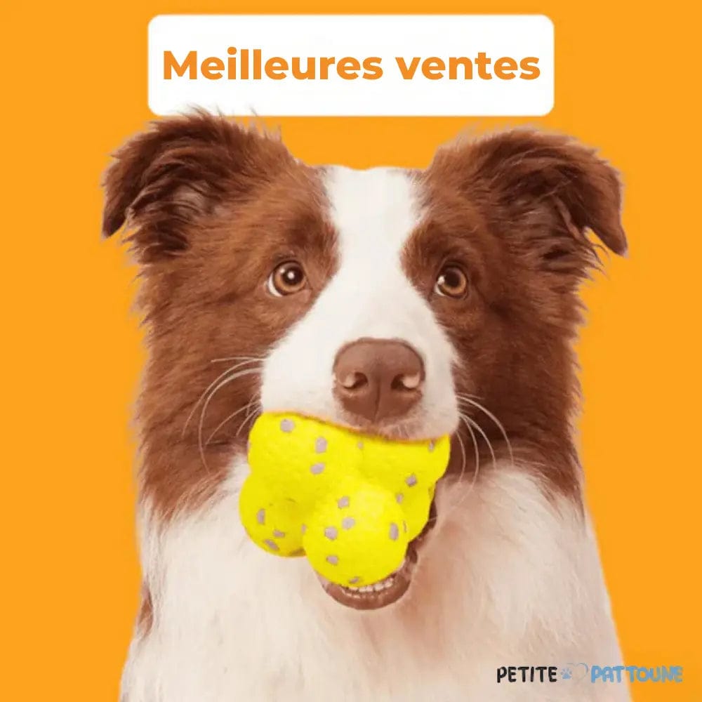 Balle à Mâcher Ultra Résistante pour Chiens