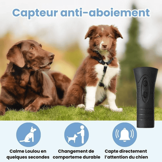 Répulsif anti-aboiement