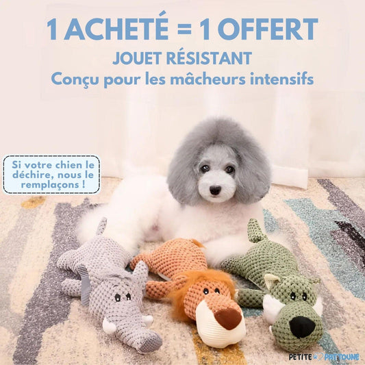 Peluche Indestructible pour Chien