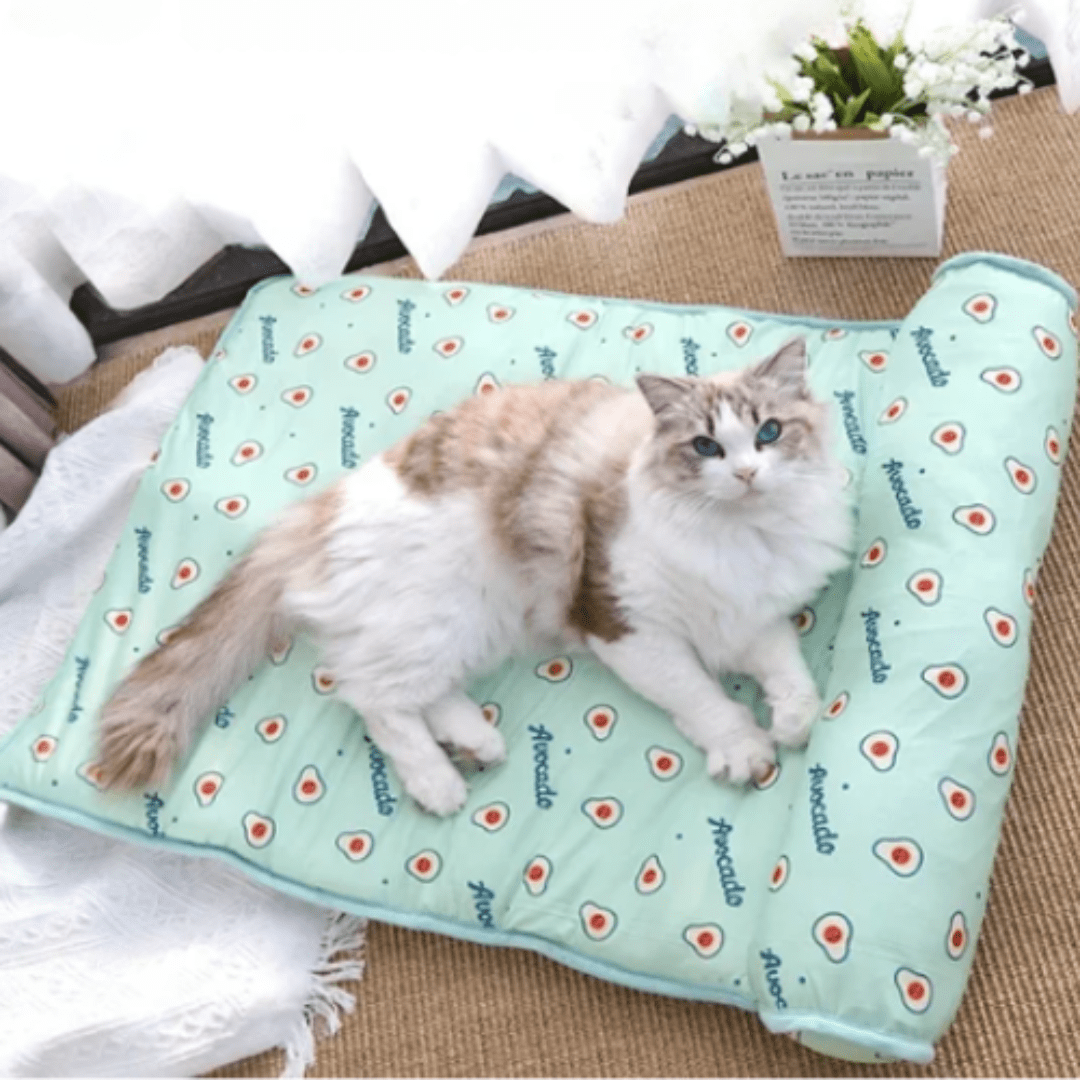 Tapis Rafraichissant Chat