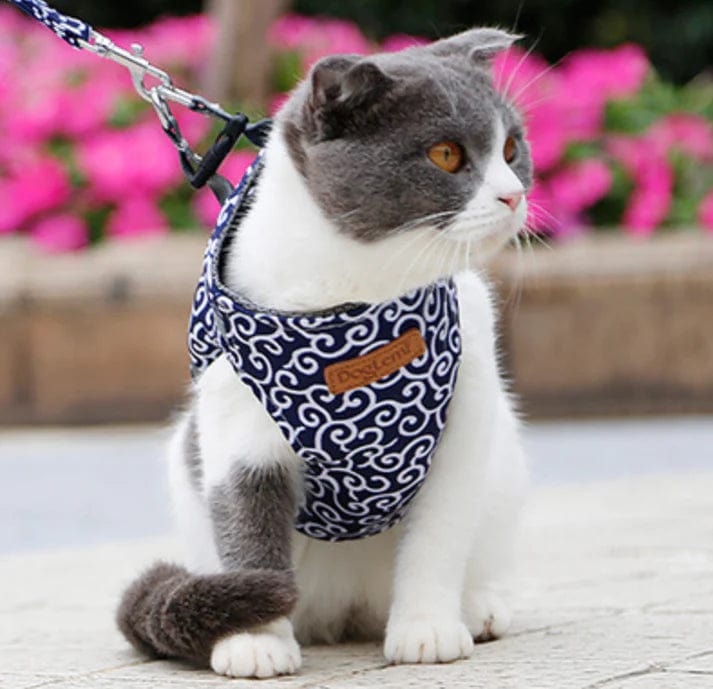 NearCat™ - Harnais anti-fugue pour chats explorateurs