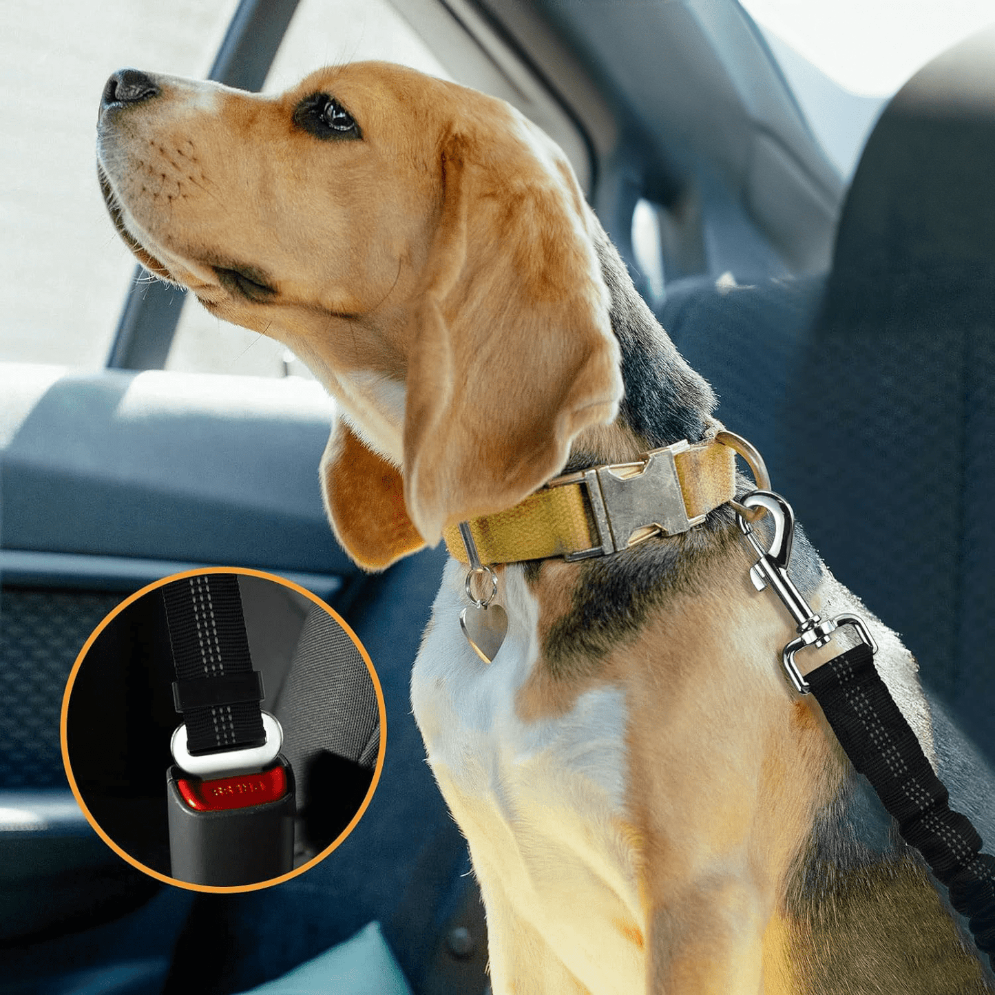 Ceinture Sécurité Chien